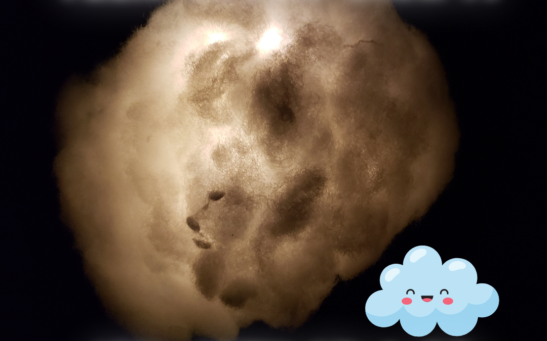 Teen Art: Cloud Light Fixture