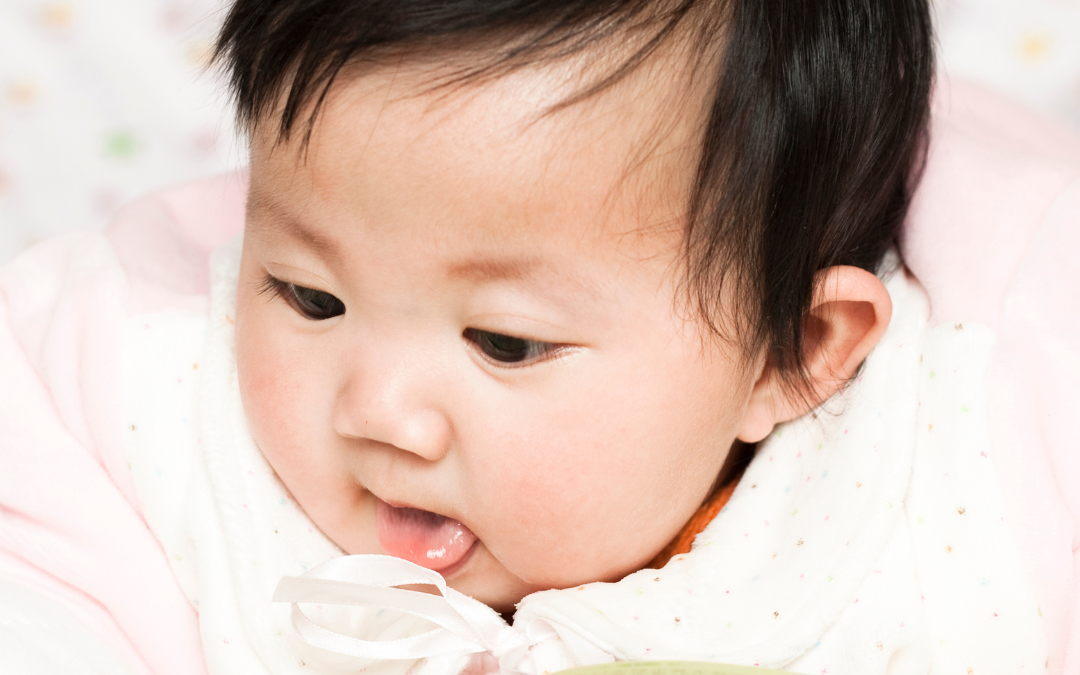 Baby & Toddler – Bears