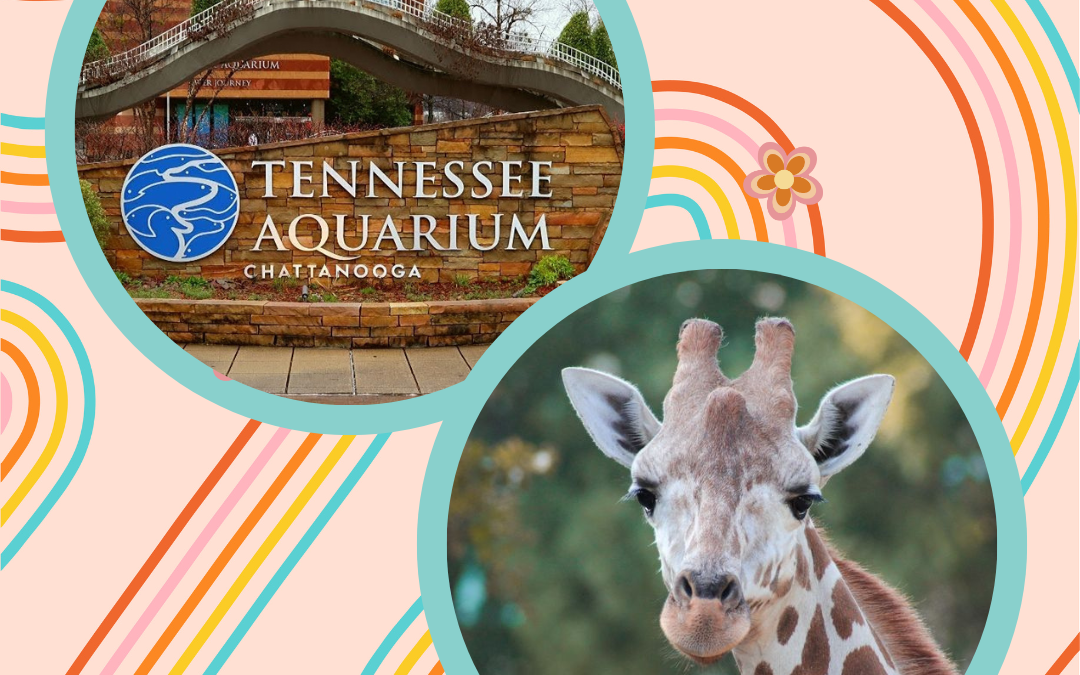 Aquarium’s Animal Encounter