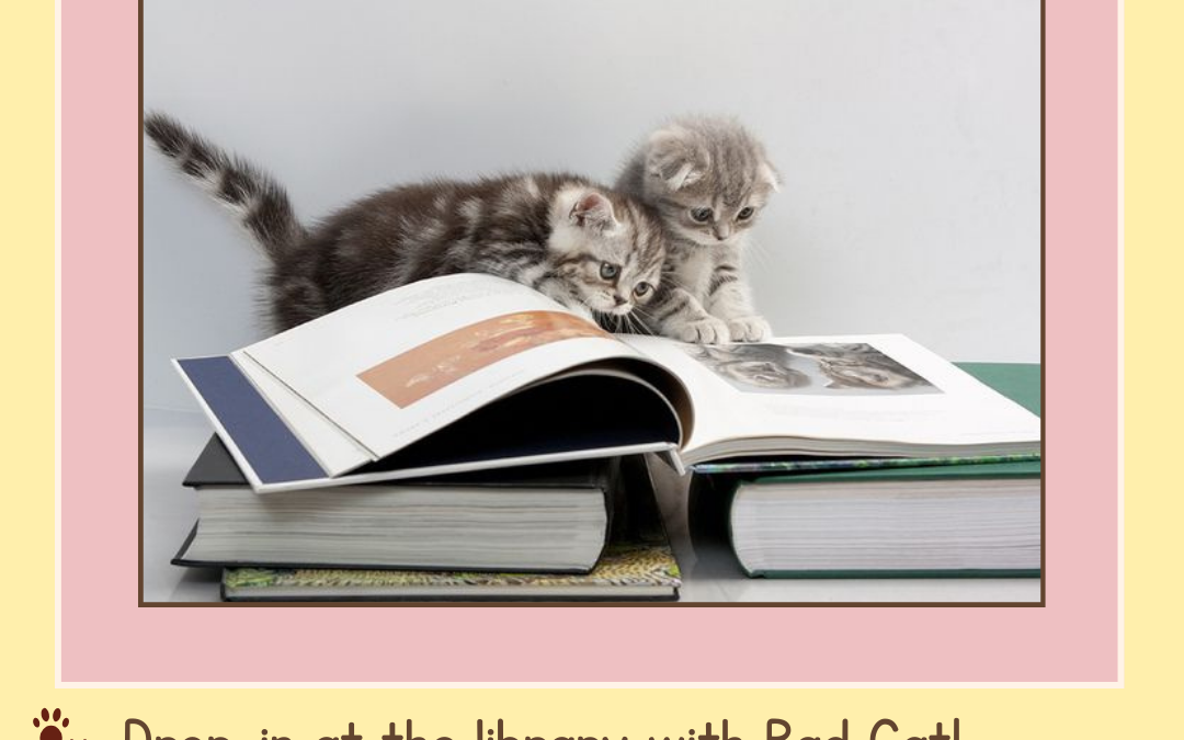 Kitten Storytime!