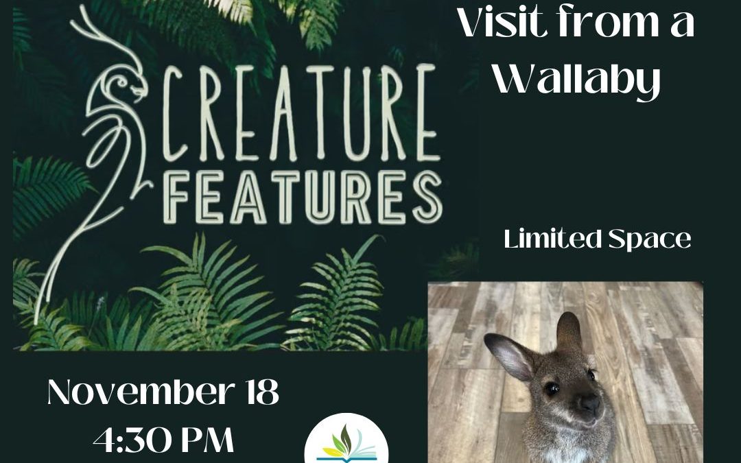 Creature Features: Wallaby